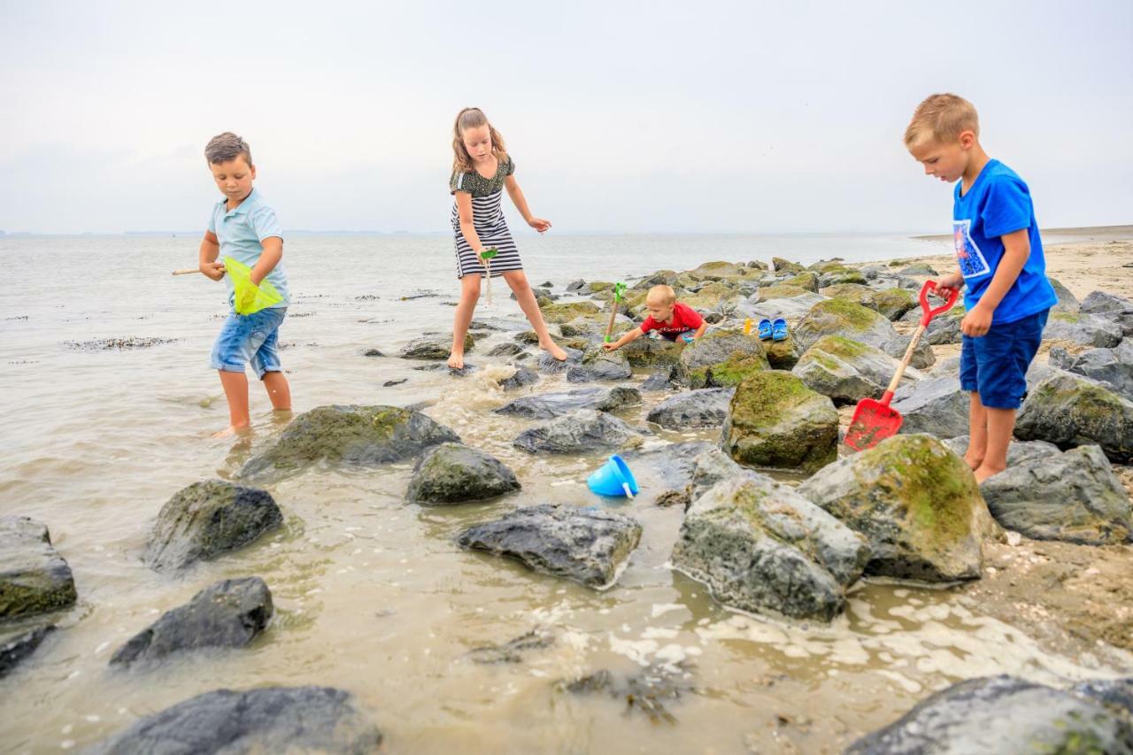 Camping Scheldeoord Baarland Екстериор снимка